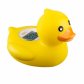 B&H Floating Duck