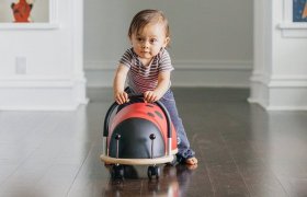 10 Cool Bug Toys Reviewed in 2024