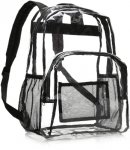 Amazon Basics Clear School backpack