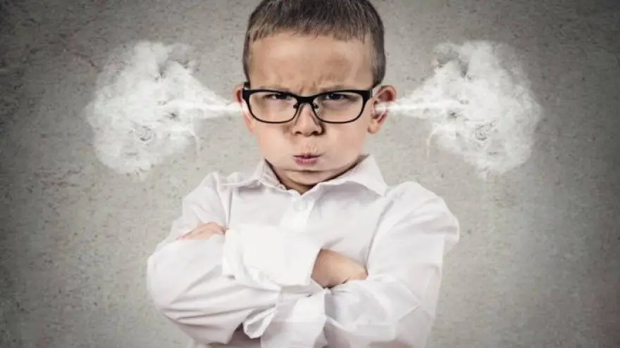 Understanding and Dealing with Your Childs Anger