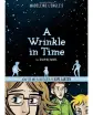 A Wrinkle in Time