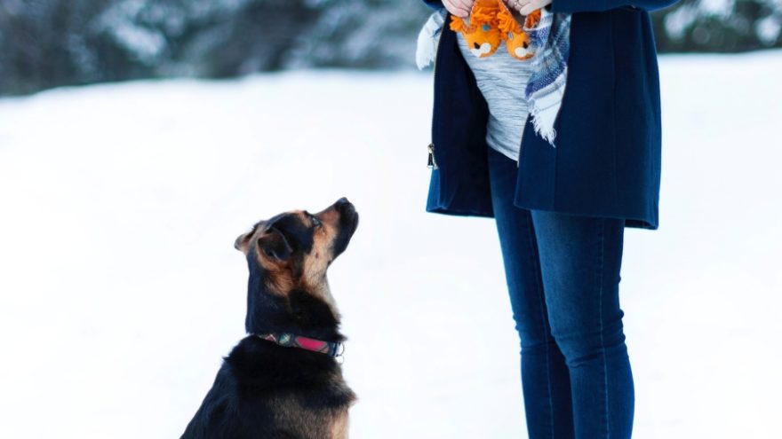 An Expectant Mom’s Guide to a Winter Pregnancy An Expectant Mom’s Guide to a Winter Pregnancy.