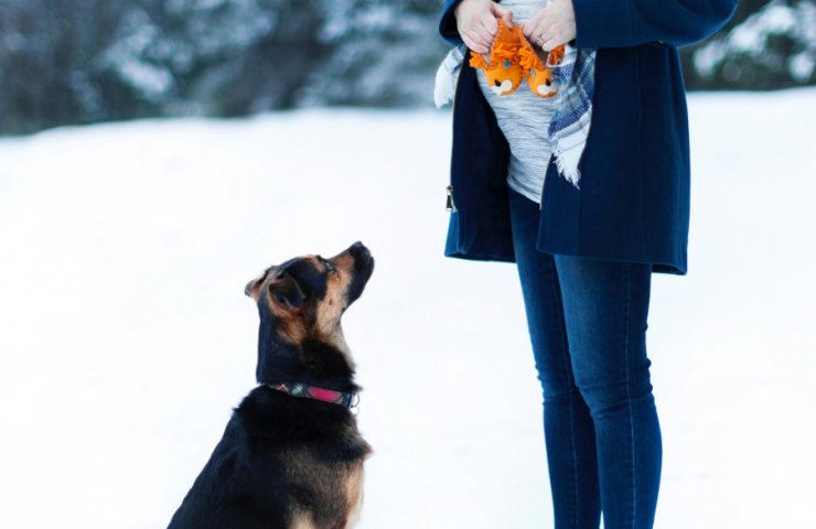 An Expectant Mom’s Guide to a Winter Pregnancy.