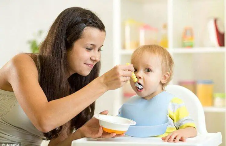 Making Baby Food At Home: The Basics