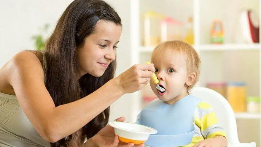 Making Baby Food At Home: The Basics