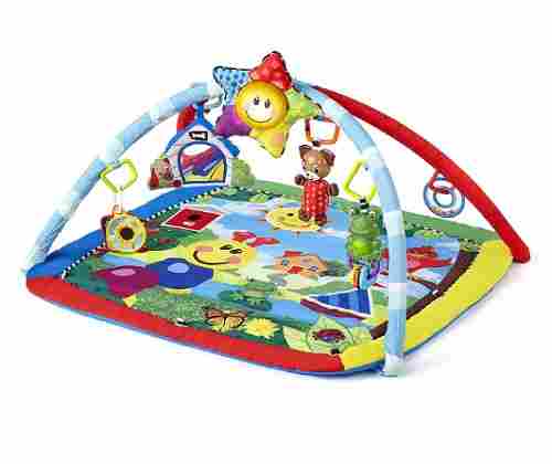 8 Month Old Toys Baby Einstein Caterpillar Play Gym 