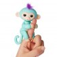 Baby Monkey Zoe