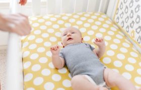 10 Best Crib Mattresses & Pads for Babies & Toddlers Reviewed in 2023