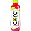 core organic fruit infused juice for kids