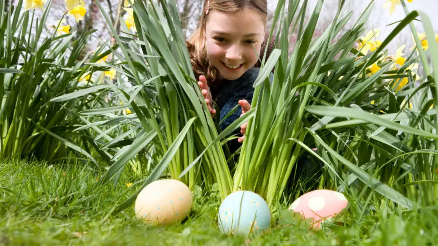 Easter Eggs, oh The Brilliant Things to 