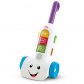 Fisher-Price Laugh & Learn Smart Stages 