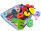 Letters and Numbers with Toy Organizer