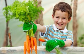 Having a Garden Can Help Your Child Grow