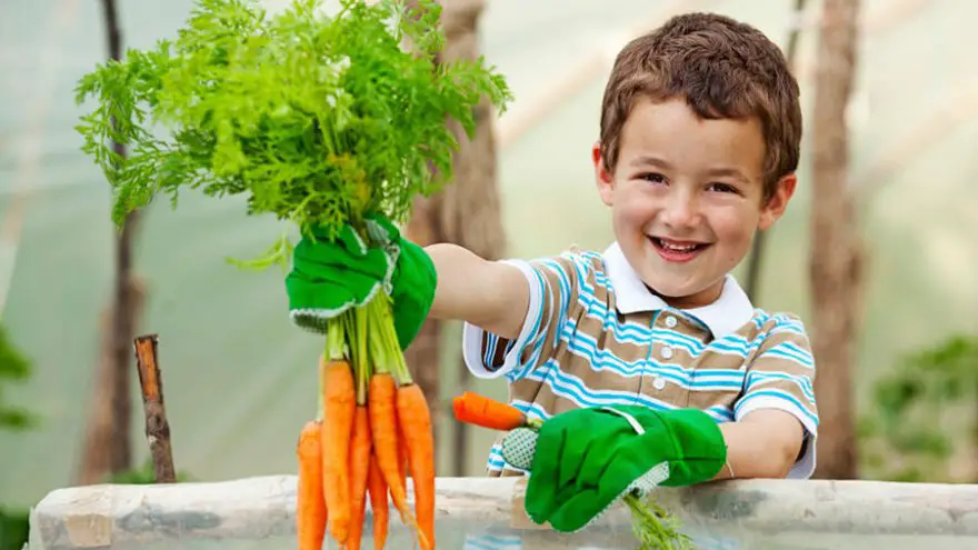 Having a Garden Can Help Your Child Grow