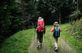 Choosing the Right Hiking Gear for Kids