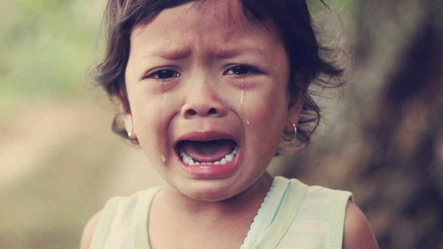 Learn how to curb fake crying in children.