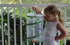 10 Best Butterfly Kits for Growing or Keeping Reviewed in 2024