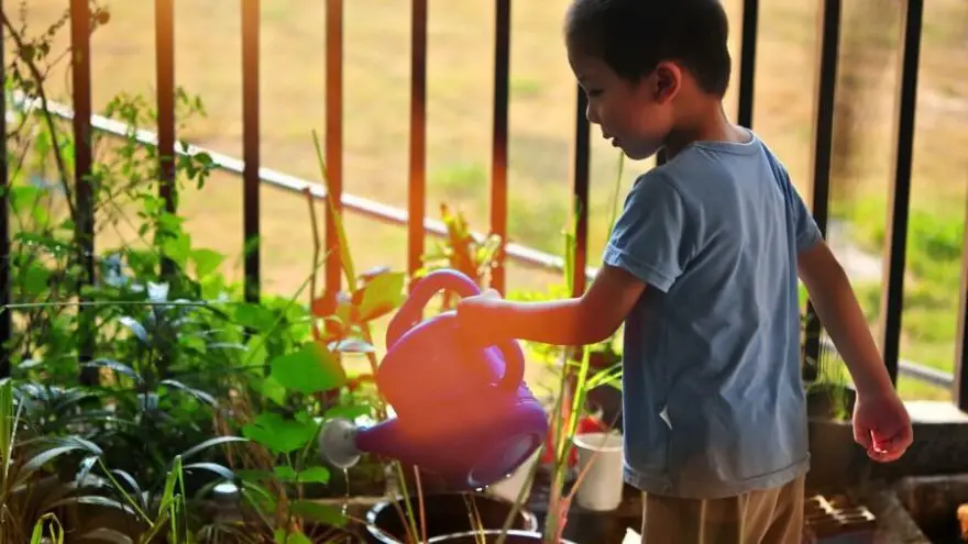 Read on to find out the best Kid-safe Plants to Grow in your Home