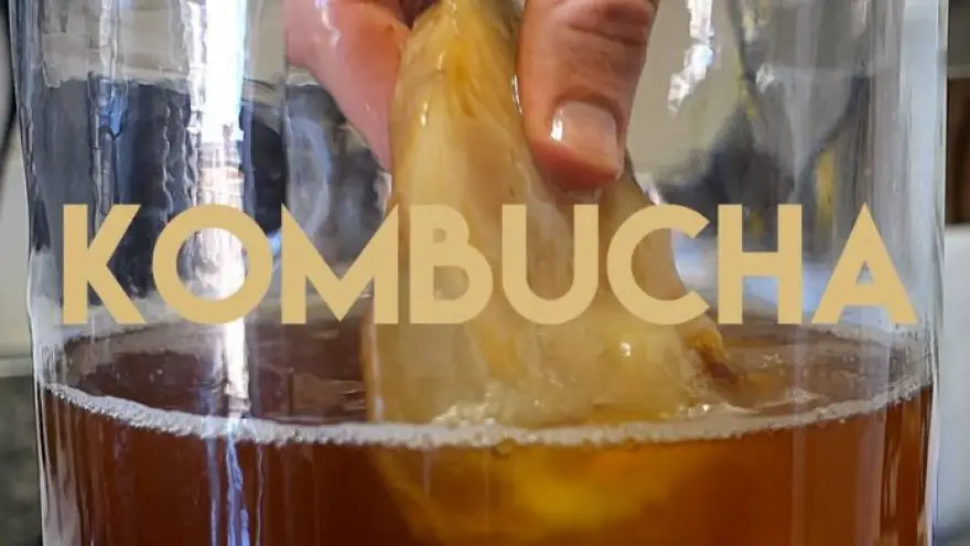 Healthy Family Part 2: Kombucha Brew Cycle