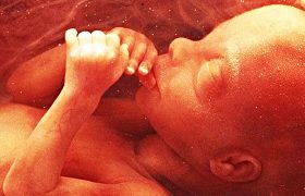 Prebirth Memories: Ask Your Child about Life In Womb