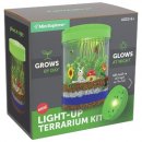 mini explorer light up terrarium gifts for 6 year old boys