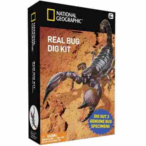 Bug Dig Kit by National Geographic