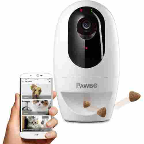 Pawbo HD Camera 