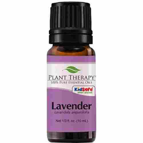 Plant Therapy Lavender 