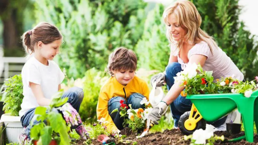 Teaching your Kids to Garden