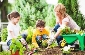 Teaching your Kids to Garden