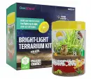 Dan&Darci Bright-Light Terrarium Kit for Kids