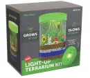 Light-up Terrarium Kit for Kids with LED Light on Lid