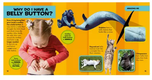 National Geographic Little Kids First Big Book of Why by Amy Shields 3