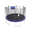 skywalker jump n' dunk trampoline