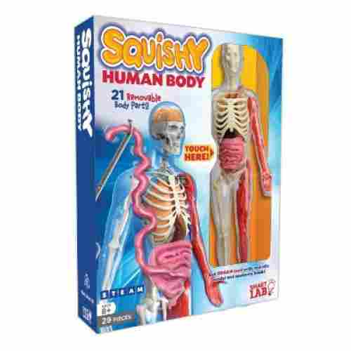 smartLab squishy human body science toy for kids box