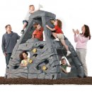 skyward summit outdoor playset