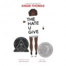 the hate you hive book for teens cover