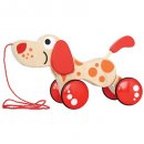 walk-a-long puppy pull toy for kids