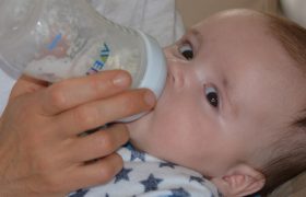 10 Best Bottles for Preemies Reviewed in 2024