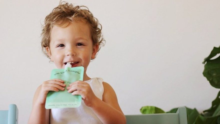 Reviewing Why Pouch-Style Baby Food is a Great Choice Reviewing Why Pouch-Style Baby Food is a Great Choice