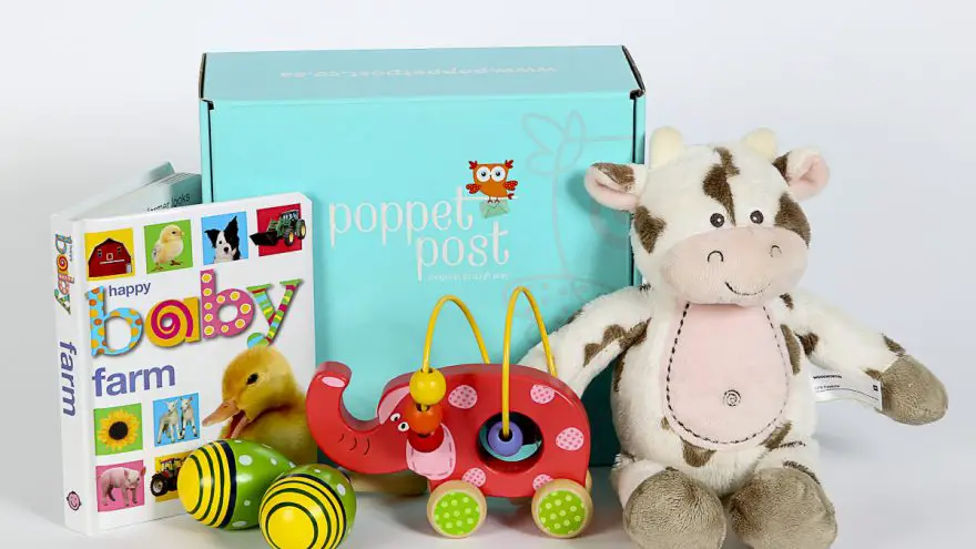 toy subscription box