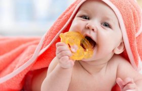 10 Best Baby Teethers Reviewed in 2024