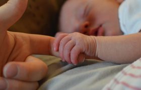 Newborn Development: The Full Spectrum of Their Senses