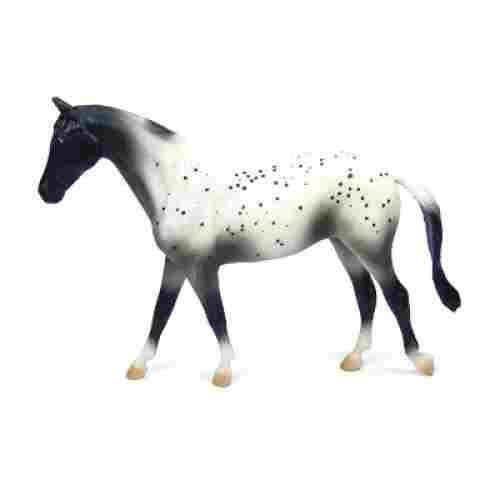 Black Semi-Leopard Appaloosa