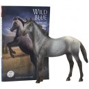 Wild Blue: Book & Set