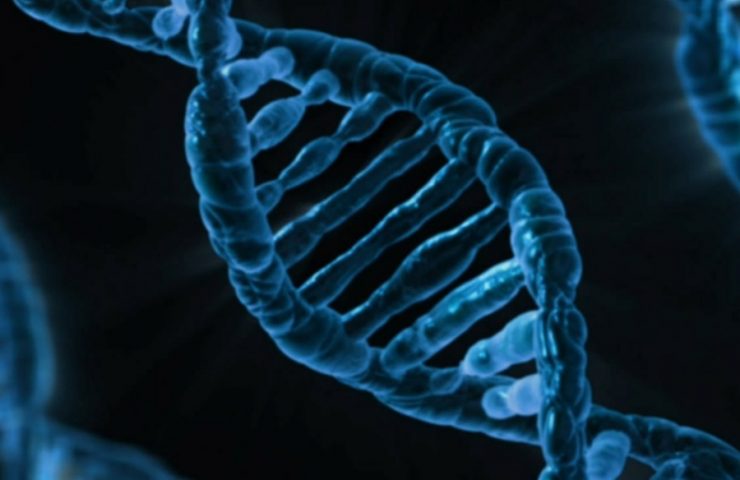 Read about the personality traits you can blame on your DNA.