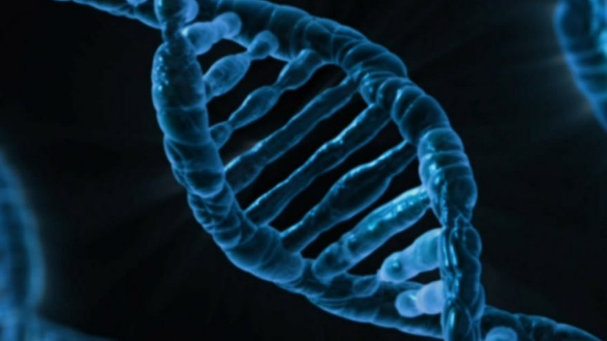 Read about the personality traits you can blame on your DNA.