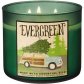 Bath and Body Works Evergreen 