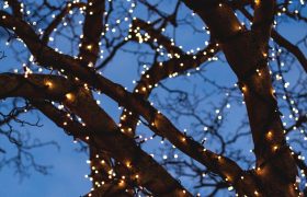 10 Best Christmas Lights Reviewed in 2023
