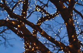 10 Best Christmas Lights Reviewed in 2024